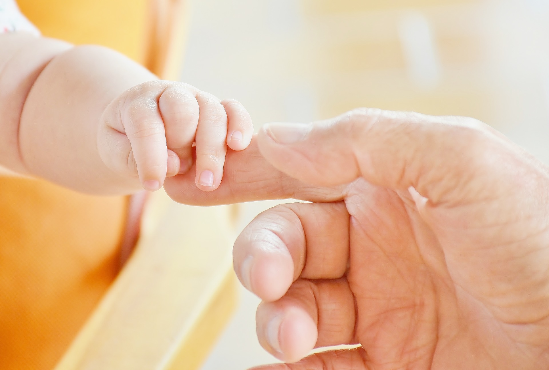 Pregnancy article image