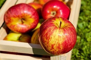 ob gyn Cork healthy pregnancy